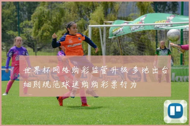 世界杯网络购彩监管升级 多地出台细则规范球迷购购彩票行为