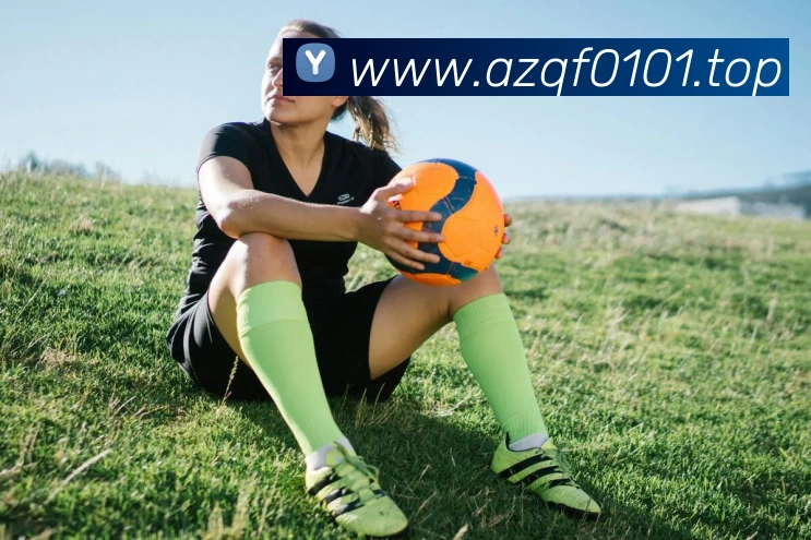 ky体育官网app登录入口品牌故事